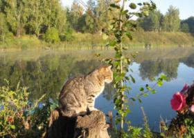 летняя рыбалка в Подмосковье