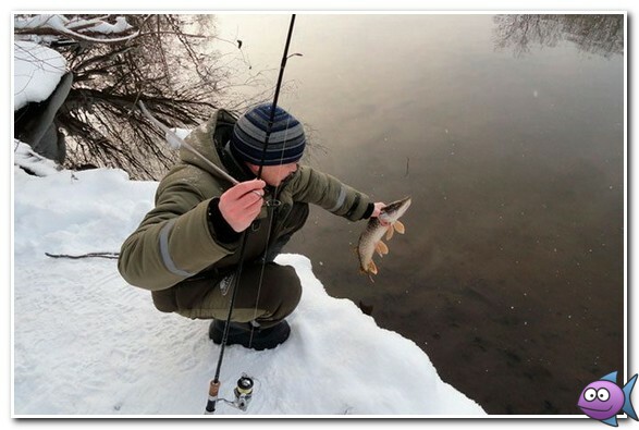 щука в декабре