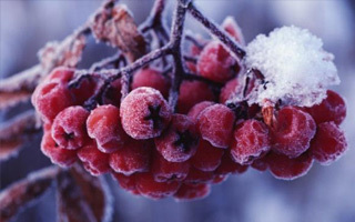 Народные приметы на 8 декабря (День святого Климентия) – обычаи, поверья на погоду