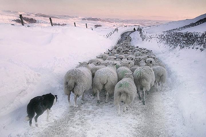 28 февраля - Онисимов день: на какие приметы обратить внимание в этот день
