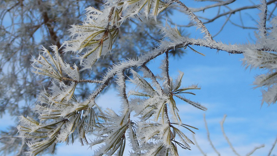 Народные приметы февраля на каждый день