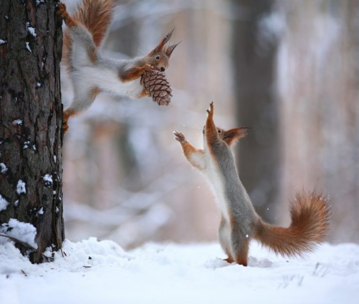 Народные приметы на 25 февраля