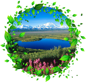 Народные приметы на 12 июля Петров день