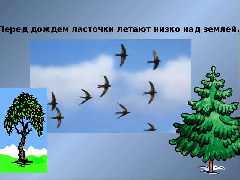 Народные приметы как средство определения погоды - презентация к уроку Окружающий мир, слайд №18