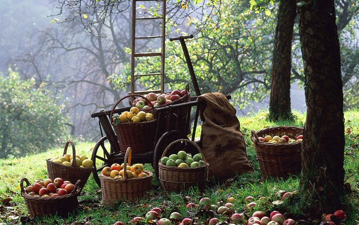 приметы погоды на лето