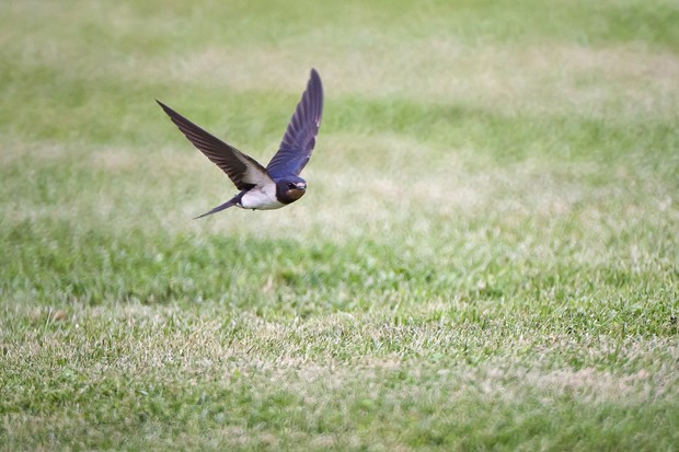 Фото №1 - Народные приметы, связанные с погодой, которые работают