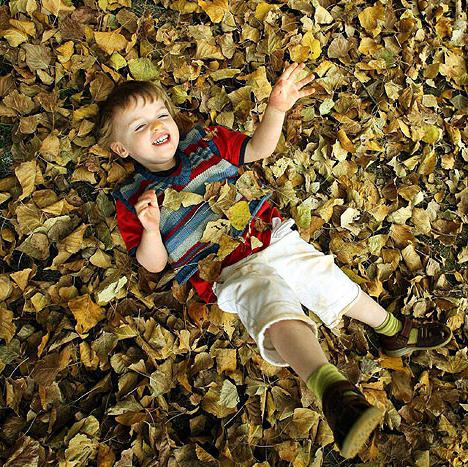 приметы ясной погоды