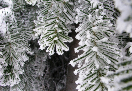 погода на февраль