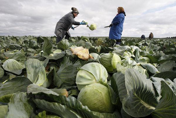 народные приметы погоды для детей
