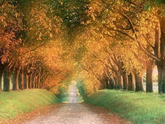 народные приметы о погоде на октябрь