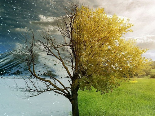 Народные приметы, предсказывающие погоду