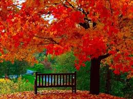 Народные приметы о временах года