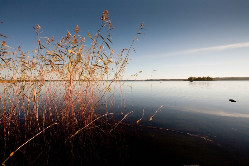 Фотография озера Водлозеро