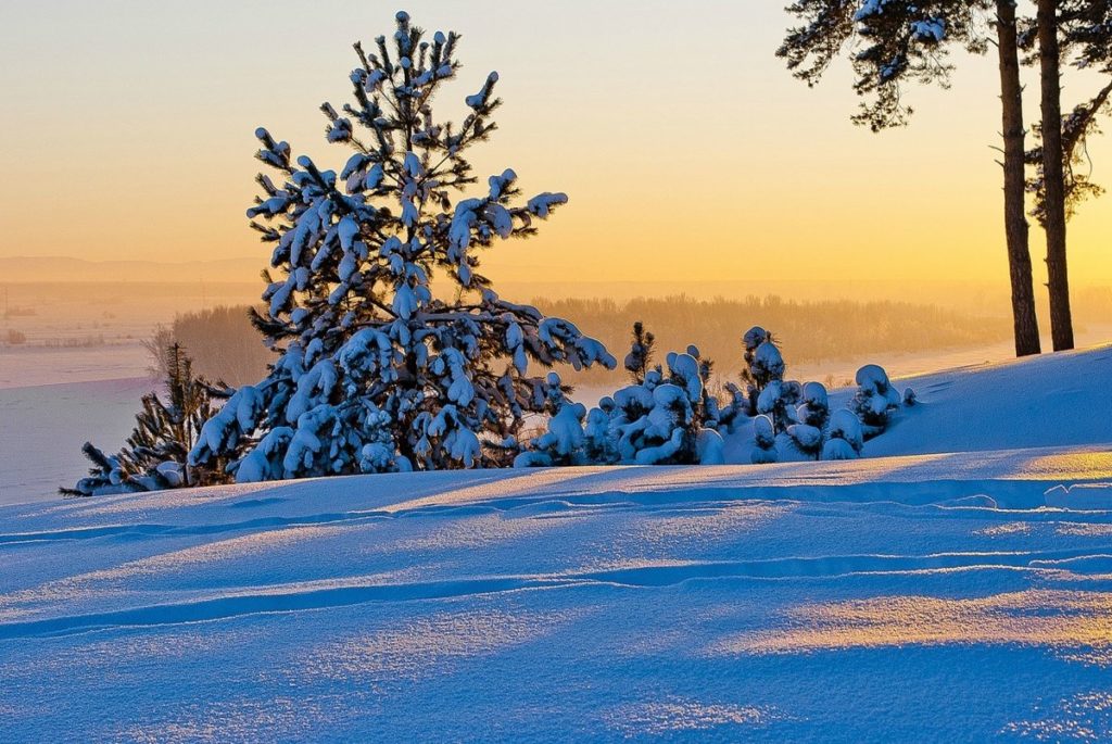 приметы на 1 декабря 