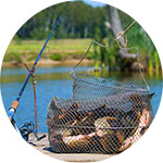 Погода и сезон когда рыба клюет лучше всего?