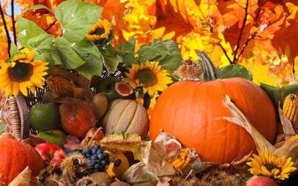 Погода в Москве в ноябре-2016