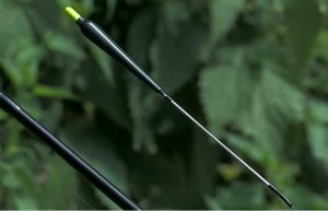 поплавочная рыбалка летом