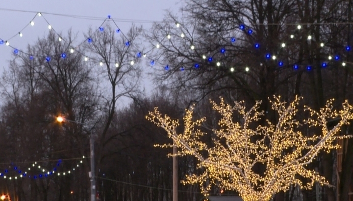 Новогоднюю Рязань украсят 36 елей