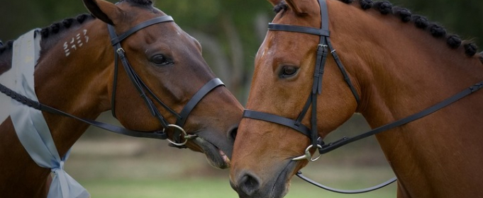 Погодные приметы на 22 мая