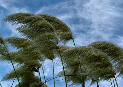 приметы погодных явлений