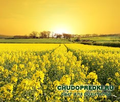 приметы о погоде