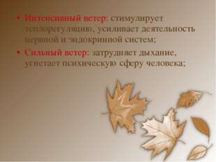Интенсивный ветер: стимулирует теплорегуляцию, усиливает деятельность нервной