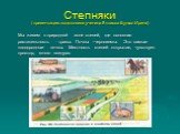 Степняки ( презентацию подготовила ученица 8 класса Будько Ирина ). Мы живем в природной зоне степей, где основная растительность - травы. Почвы –черноземы. Это самые плодородные почвы. Местность степей открытая, чувствует простор, много воздуха.