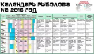 При каком давлении лучше клюет рыба зимой – реальность и вымысел