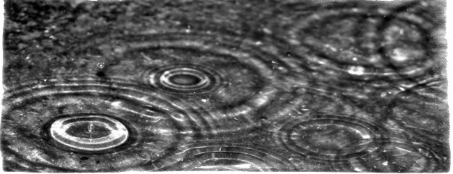 Приметы о дожде