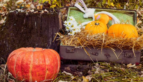 О чем говорят приметы в мире неживой природы