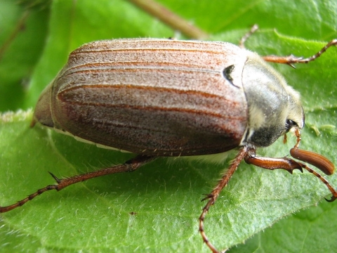 Приметы неживой природы о погоде на основе наблюдений за явлениями