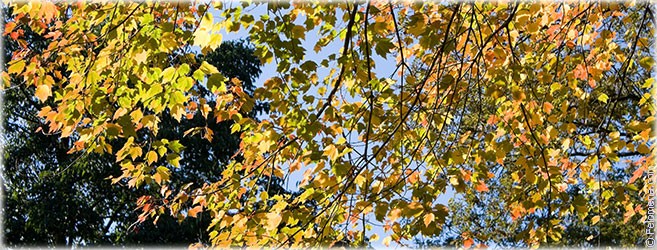 Приметы на месяц Октябрь