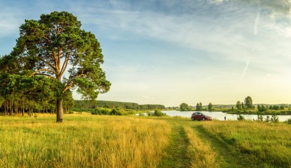Приметы о погоде в августе