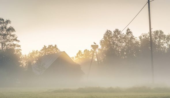 14 августа — Медовый Спас