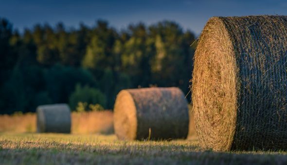 28 августа — Успение