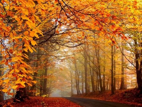 Приметы о погоде на Покров 14 октября