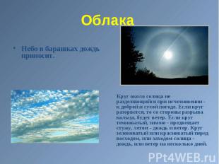 Небо в барашках дождь приносит.