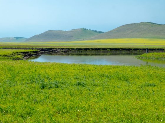 Приметы о погоде в июне