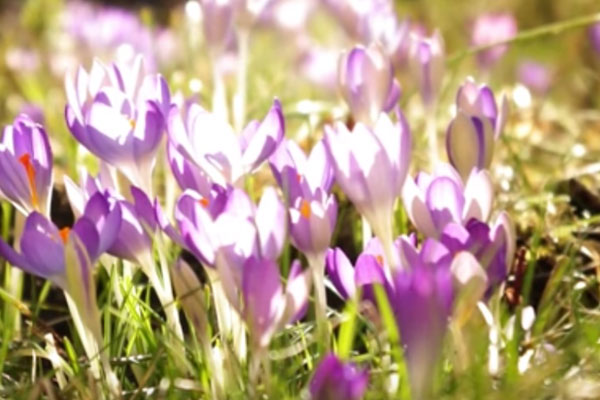 народные приметы о погоде, старинные суеверия