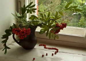 Красная рябина в доме