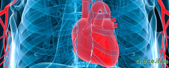 профилактика сердечно сосудистой системы