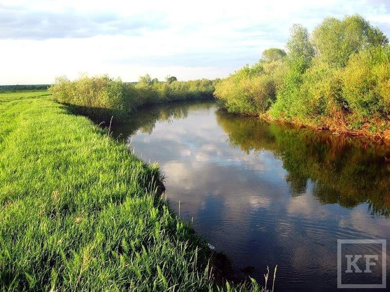 Прогноз клёва в Казани