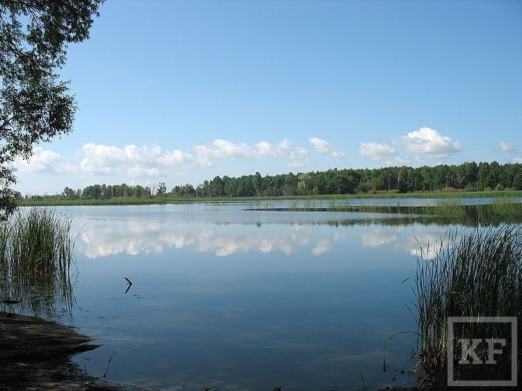 Прогноз клёва в Казани