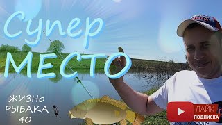 Рыбалка в золотой карп москва