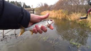 Речка рыбная красноярский край рыбалка