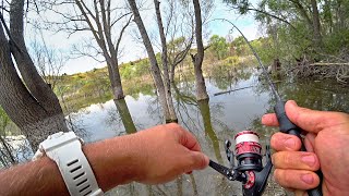 Все приспособление ловли схемы