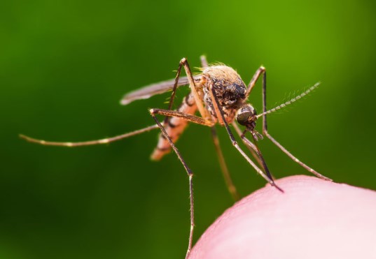 Прогноз на 26 мая 2020 – народные приметы, погода и ее влияние на здоровье, магнитные бури - &laquo;Новости&raquo;