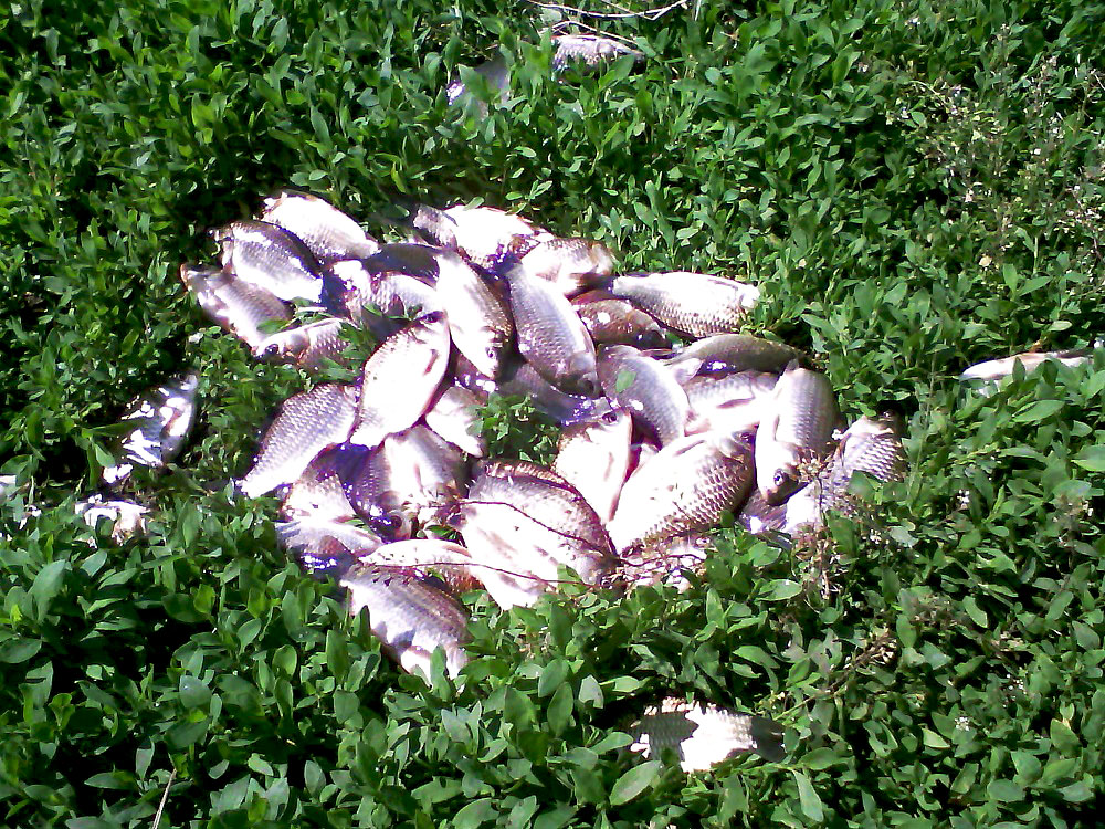 При выборе места ловли необходимо обратить внимание на множество факторов, фото