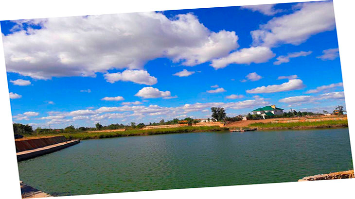 Искусственный пруд.