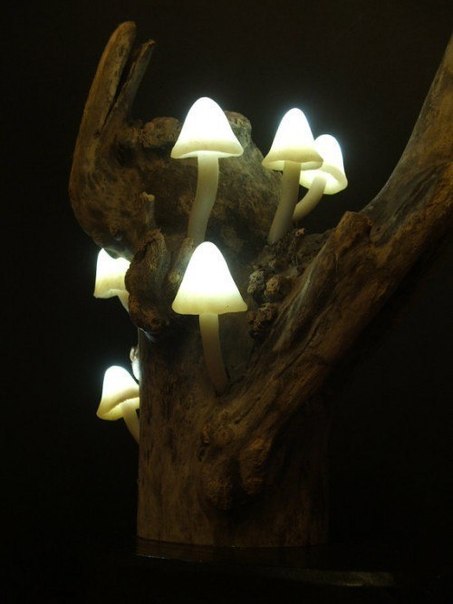 Ночник с лесным настроением